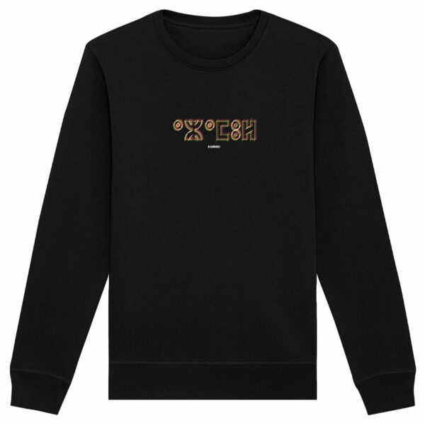 pull Azamul Tifinagh pour homme est en 100% coton biologique premium . Son design unique, avec le mot AZAMUL écrit en tifinagh, met en valeur la culture berbère amazigh par azamoul mode et accessoires berbères couleur noir